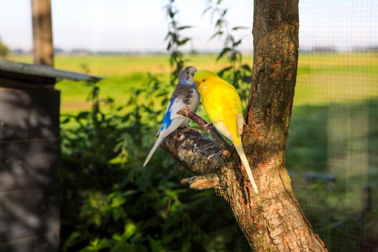 Het Groene Wout Goudriaan ภายนอก รูปภาพ